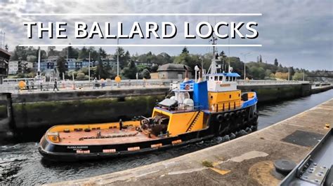 De Ballard Locks: Een Waterweg van Wonder en Zeewieren!